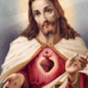 Meet your Posher, Pedro